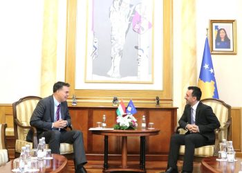 Kryetari Basha priti në takim ambasadorin e Hungarisë