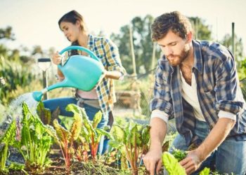 Kopshtaria, terapia natyrale që qetëson mendjen dhe forcon trupin