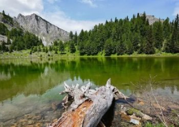 Rritet numri i vizitorëve në Kosovë