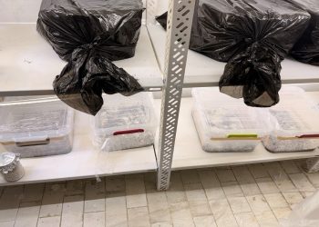 Aksion antidrogë në Prishtinë, sekuestrime dhe një i ndaluar