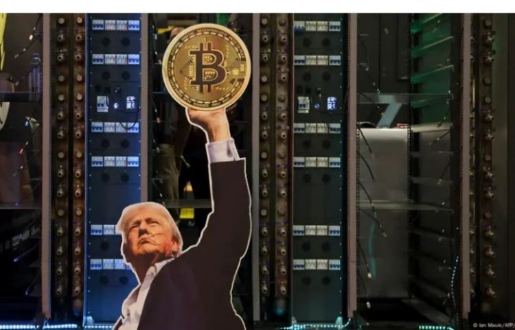 Trump po bëhet mbret i kriptomonedhave