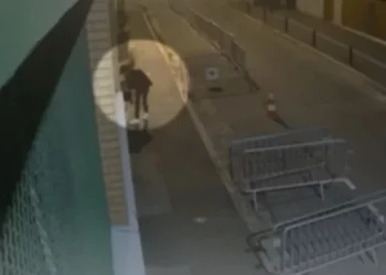 Vendosnin koka derrash para xhamive në Paris, një nga 11 serbët kapet në video gjatë aktit racist