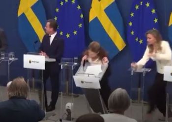 Ministres së Shëndetësisë në Suedi i bie të fikët gjatë konferencës