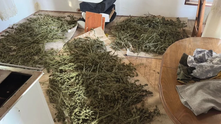 Policia godet rrjetin kr*iminal pas shpërthimit në QKUK, prangosen 11 persona, konfiskohet dr*ogë dhe ar*më