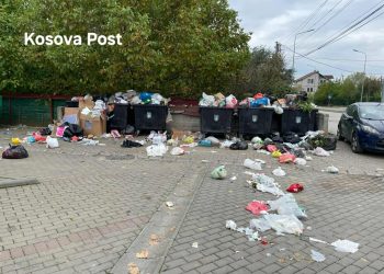 Gjendje e mjerueshme me mbeturina në lagjen Kalabria në Prishtinë