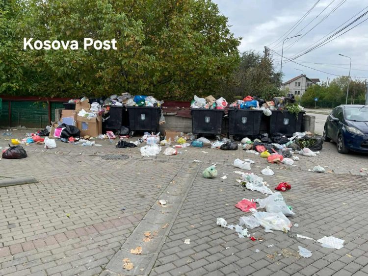 Gjendje e mjerueshme me mbeturina në lagjen Kalabria në Prishtinë