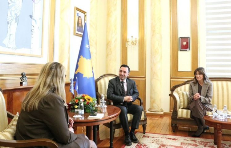 Basha: Kosova në Këshill të Evropës, mekanizëm tjetër për qasje në drejtësi