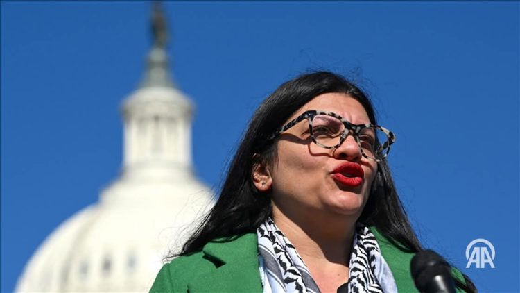 Ligjvënësja amerikane thotë se Izraeli “rrëmbeu ilegalisht” aktivistët në flotën e ndihmës