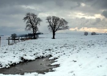 Ky pritet të jetë moti për sot