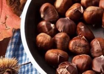Gështenjat mbrojnë trurin dhe parandalojnë sëmundjet kronike