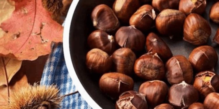 Gështenjat mbrojnë trurin dhe parandalojnë sëmundjet kronike