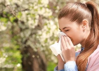 Ja cilat janë 12 alergjitë më të përhapura