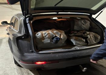 Dogana sekuestroi mallra të padeklaruara, substanca narkotike e municion