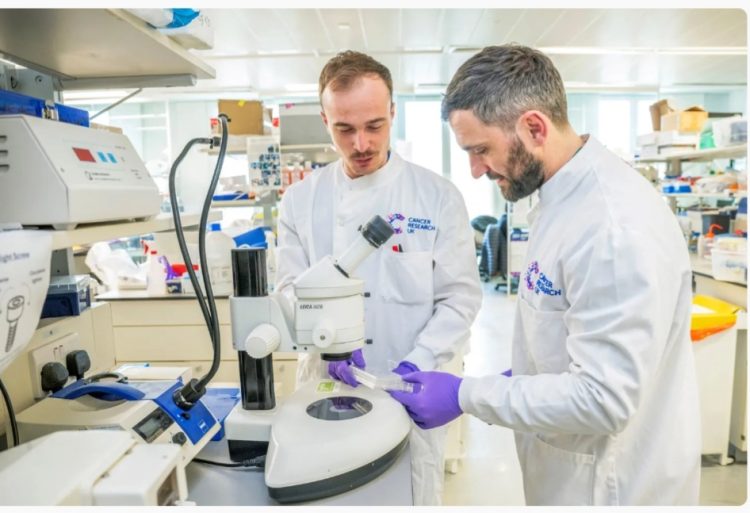 Shkencëtarët identifikojnë “çelësin” imunitar për ta ndihmuar trupin të luftojë k@ncerin