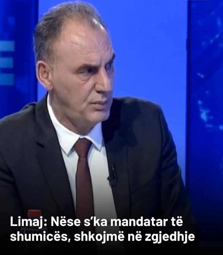Limaj: Nëse s’ka mandatar të shumicës, shkojmë në zgjedhje