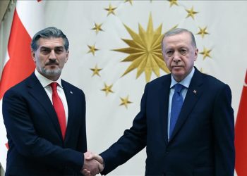 Presidenti turk dhe ai gjeorgjian diskutojnë hetimin për rrëzimin e avionit ushtarak turk