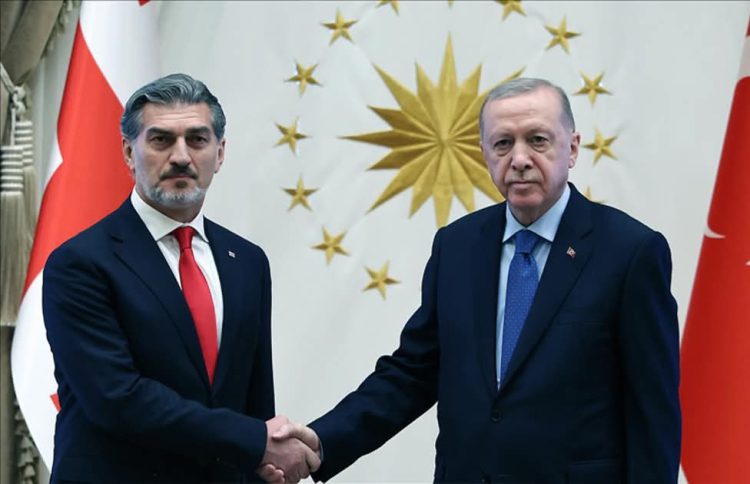 Presidenti turk dhe ai gjeorgjian diskutojnë hetimin për rrëzimin e avionit ushtarak turk