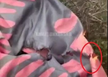Faqja nacionaliste serbe publikon pamje nga djegia e flamurit kombëtar në Mitrovicë