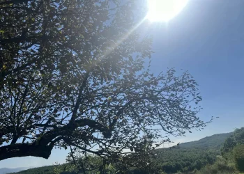 Moti për sot, temperaturat arrijnë deri në 23 shkallë