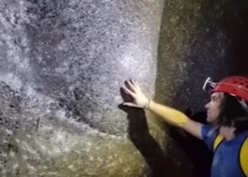 Zbulimi i jashtëzakonshëm në kufirin Shqipëri–Greqi, një “qytet” merimangash nën toké