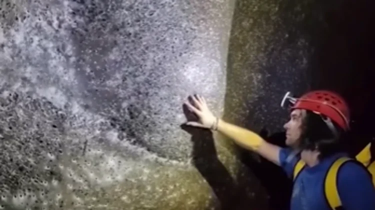 Zbulimi i jashtëzakonshëm në kufirin Shqipëri–Greqi, një “qytet” merimangash nën toké