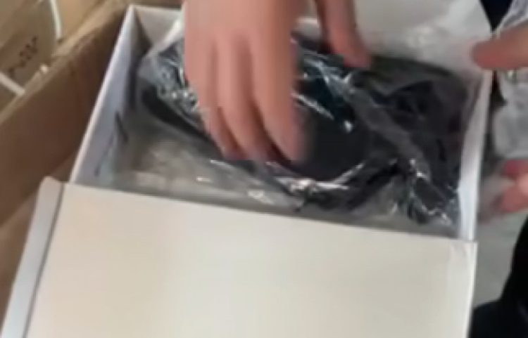 Dogana sekuestron 570 palë këpucë sportive të dyshuara si false