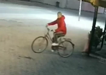 Policia kërkon ndihmën e qytetarëve për kapjen e një hajni në Podujevë