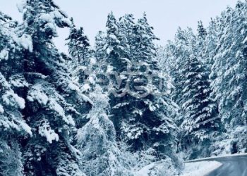 Të enjten reshje bore