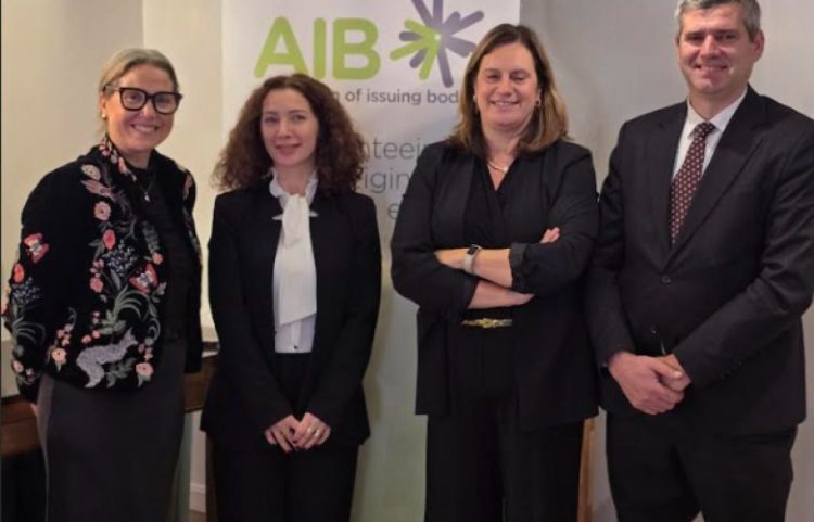Kosova anëtare me të drejta të plota në AIB