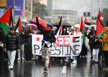 Protestë në Shkup për Palestinën: Kërkohet dënimi i Izraelit për vrasjet në Gaza