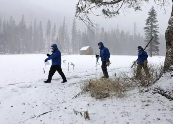 Reshjet e dëborës e temperaturat e ulëta ”kërcënojnë” 50 milionë amerikane