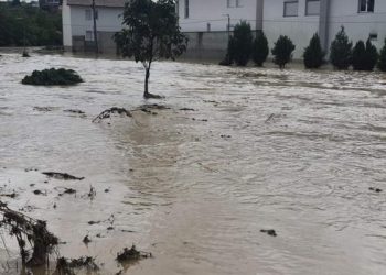 AME: Pas rënies së intensitetit të shiut, situata nën kontroll