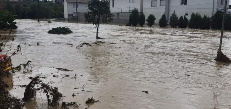 AME: Pas rënies së intensitetit të shiut, situata nën kontroll