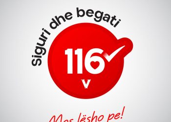 “Siguri dhe begati”, slogani i Vetëvendosjes në zgjedhje