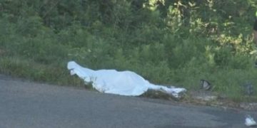 I riu i raportuar i zhdukur gjendet i vdekur në një livadh afër shtëpisë