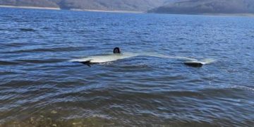 Avioni sportiv bie në Liqenin e Mavrovës, dy kosovarë të lënduar