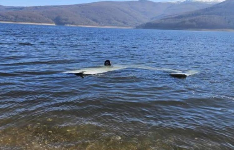 Avioni sportiv bie në Liqenin e Mavrovës, dy kosovarë të lënduar