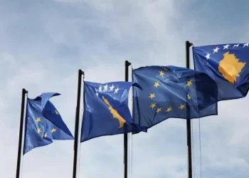 BE-ja, e gatshme të punojë me qeverinë e re