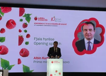 Kurti në Konferencën e Mjedrës: Një premtim nga Qeveria, do të jem partner jo spektator