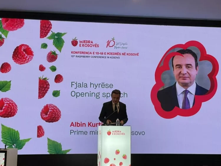 Kurti në Konferencën e Mjedrës: Një premtim nga Qeveria, do të jem partner jo spektator