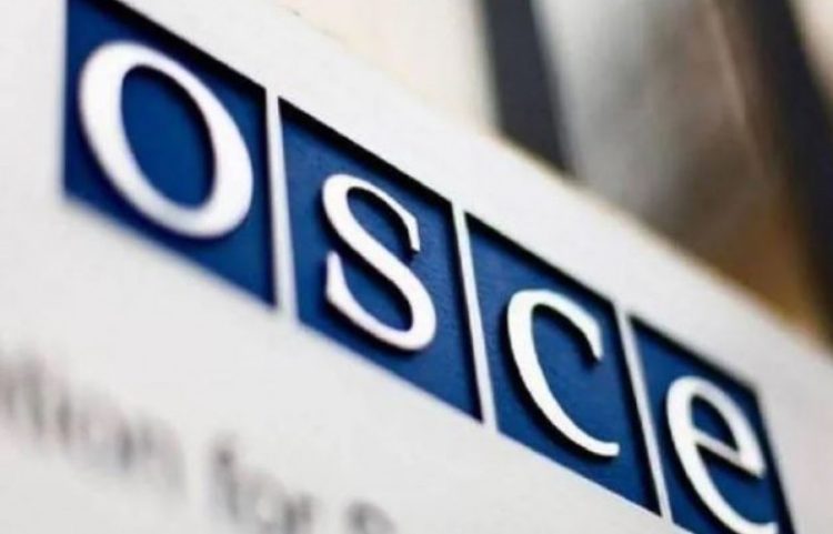 OSBE dënon gjuhën seksiste ndaj Matoshit: Retorikë kundër standardeve