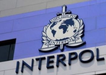 23-vjeçarja arrestohet në Serbi, pritet ekstradimi në Shqipë