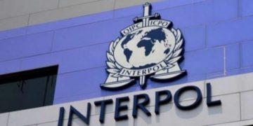 23-vjeçarja arrestohet në Serbi, pritet ekstradimi në Shqipë