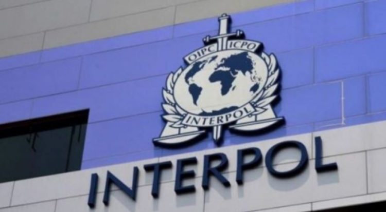 23-vjeçarja arrestohet në Serbi, pritet ekstradimi në Shqipë