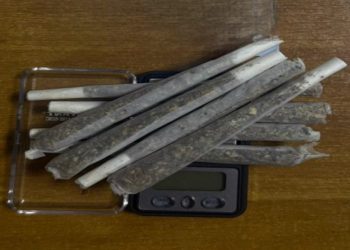Nuk iu ndal policisë, ndalet 18-vjeçari me marihuanë në bagazh