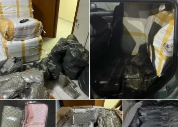 Ndalohen rreth 900 artikuj të padeklaruar në Vërmicë