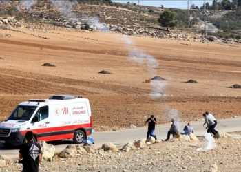 Kolonët e paligjshëm izr@elitë lëndojnë 15 palestinezë dhe për*dhosin një xhami në Bregun Perëndimor