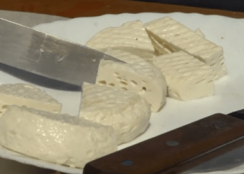 AUV njofton për praninë e mundshme të aflatoksinës M1 në djathin Mozzarella nga qumështi i buallicës