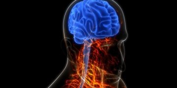 Legalizimi i kanabisit dhe shtimi i psikozave