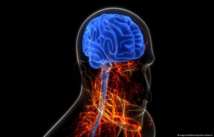 Legalizimi i kanabisit dhe shtimi i psikozave